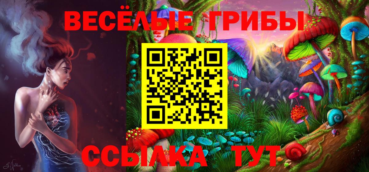 где купить   Вход с VPN  Городец  Галлюциногенные грибы Psilocybine cubensis 